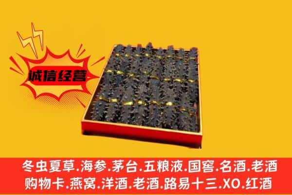 甘孜州乡城回收海参